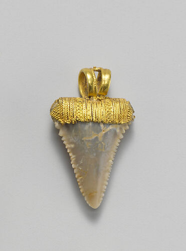 Tooth pendant set in gold