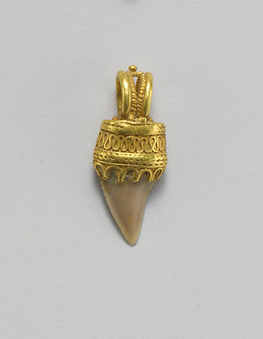Tooth pendant set in gold