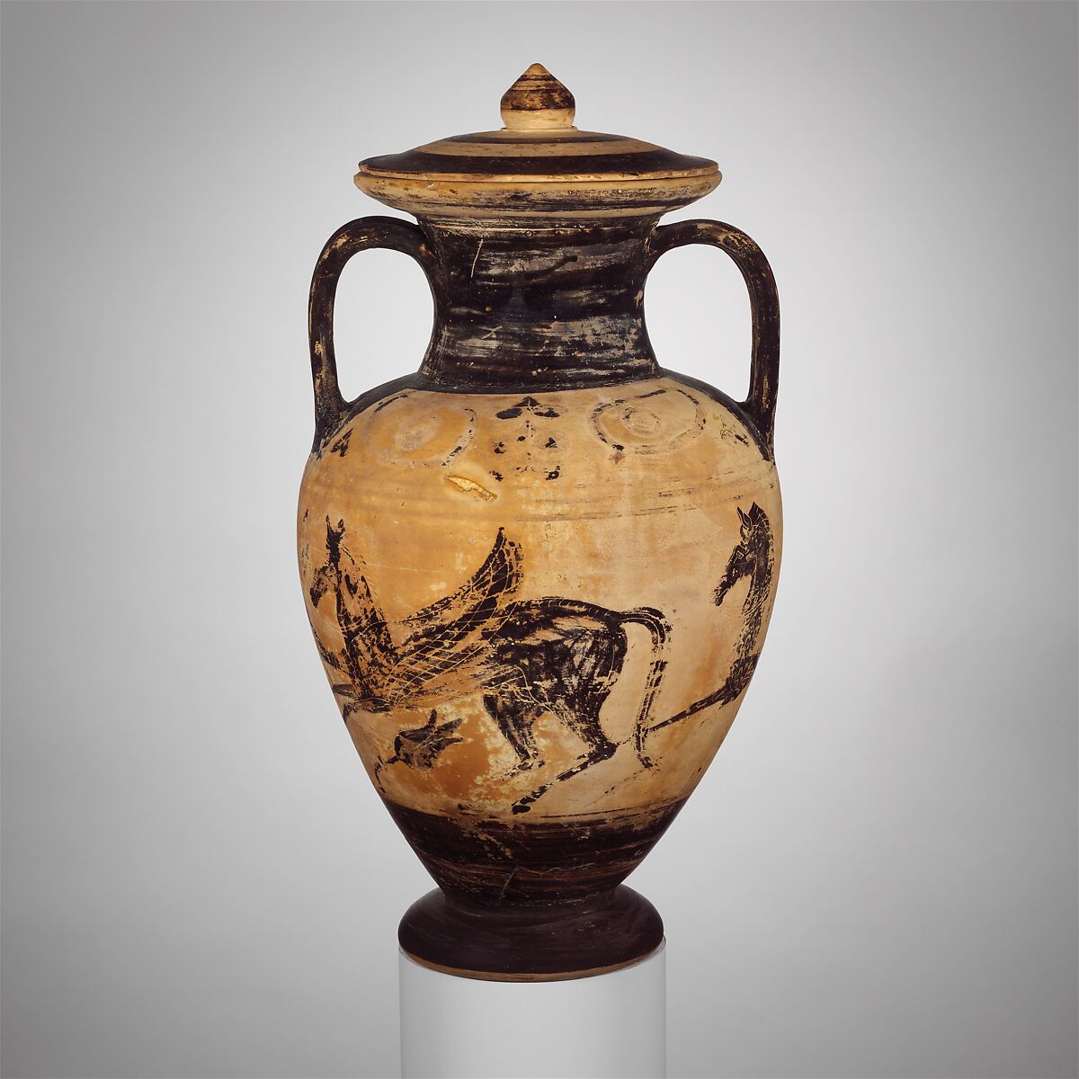 Terracotta neck-amphora (jar) with lid, Attributed to the Micali Painter, Terracotta, Etruscan
