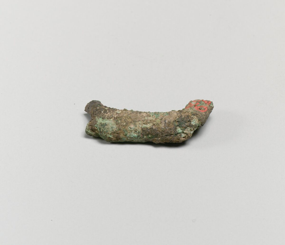 Fibula, Certosa type, Bronze 