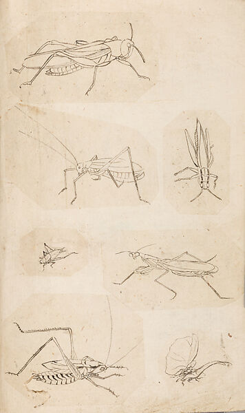 金工絵 Copy book of Toshiyoshi (also called Kōsō, Seijō, or Toshinaga), 紫原壽良画 Murasakibara Toshiyoshi (Japanese, born 1829), Ink on bound paper, Japanese