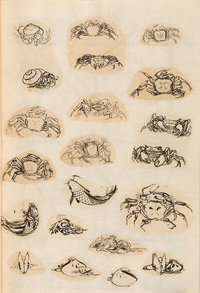 金工絵 Copy book of Toshiyoshi (also called Kōsō, Seijō, or Toshinaga), 紫原壽良画 Murasakibara Toshiyoshi (Japanese, born 1829), Ink on bound paper, Japanese