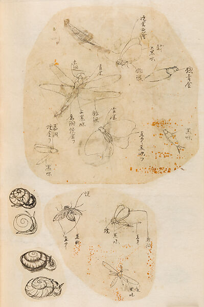 金工絵 Copy book of Toshiyoshi (also called Kōsō, Seijō, or Toshinaga), 紫原壽良画 Murasakibara Toshiyoshi (Japanese, born 1829), Ink on bound paper, Japanese