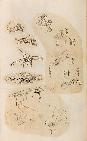 金工絵 Copy book of Toshiyoshi (also called Kōsō, Seijō, or Toshinaga), 紫原壽良画 Murasakibara Toshiyoshi (Japanese, born 1829), Ink on bound paper, Japanese