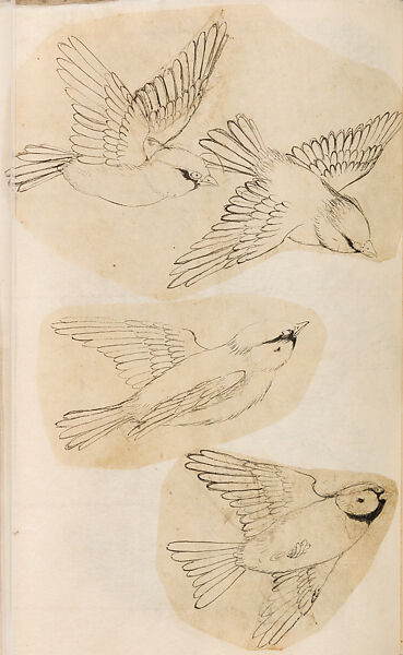金工絵 Copy book of Toshiyoshi (also called Kōsō, Seijō, or Toshinaga), 紫原壽良画 Murasakibara Toshiyoshi (Japanese, born 1829), Ink on bound paper, Japanese