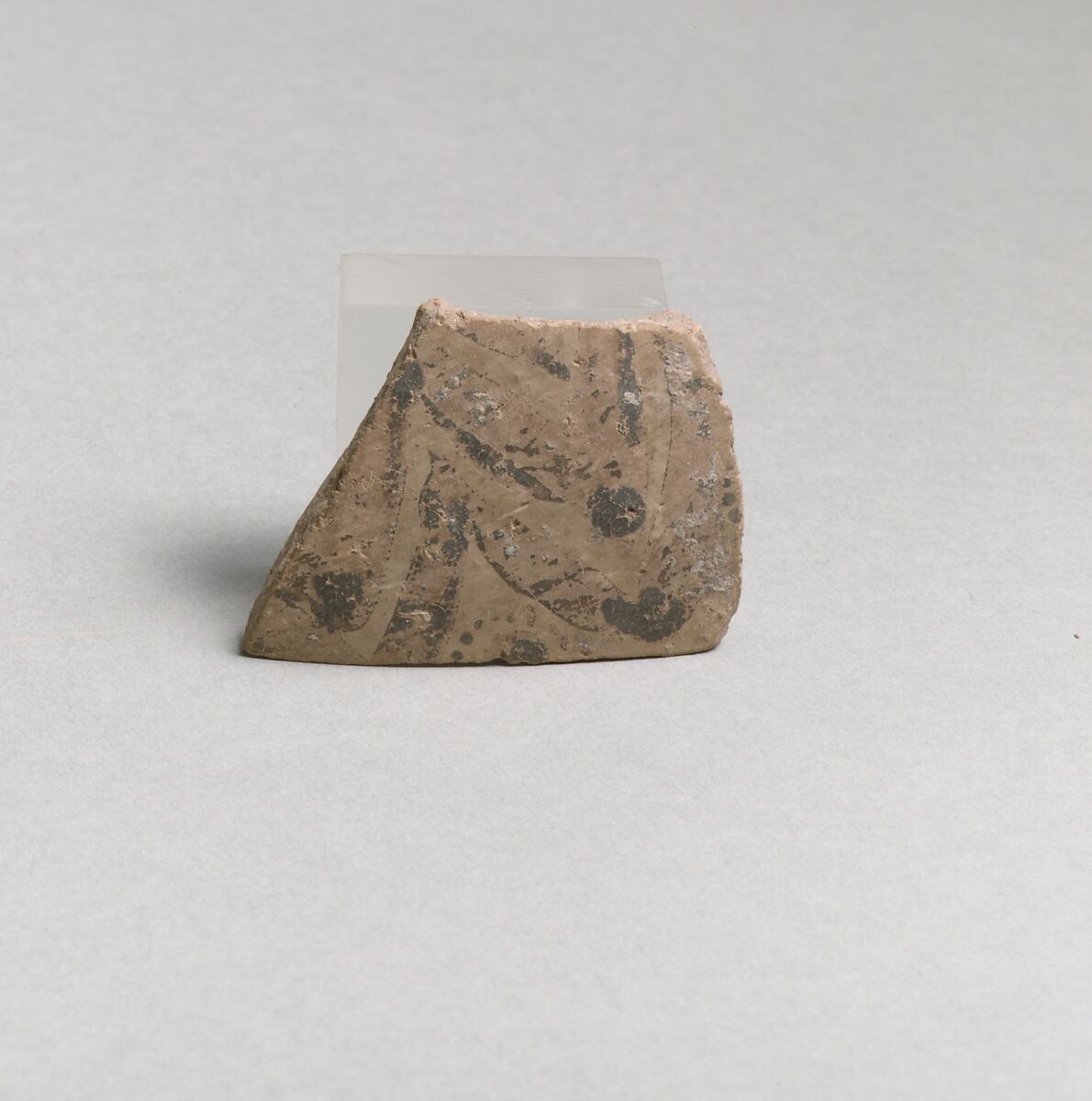 Terracotta vessel fragment with floral motif, Terracotta, Minoan 