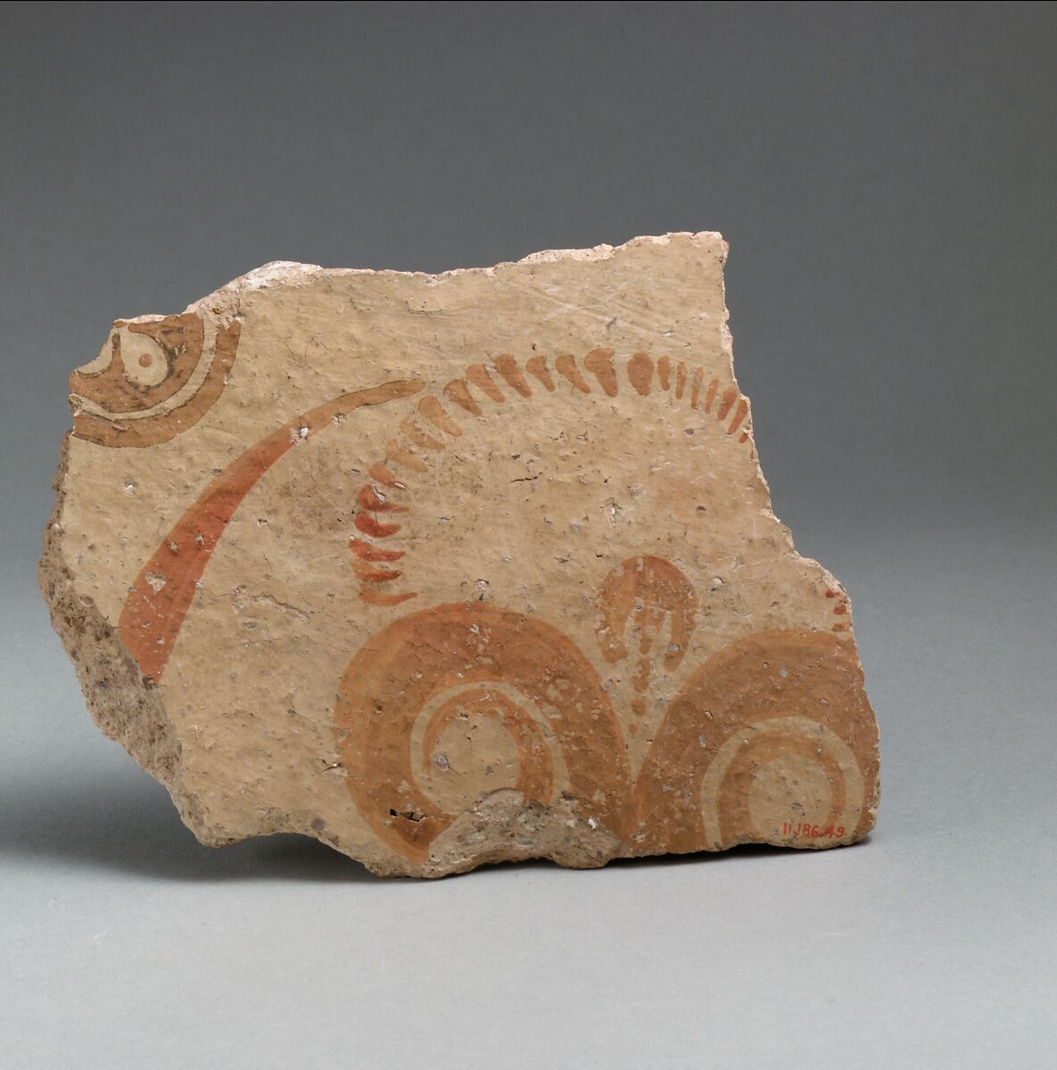 Terracotta vessel fragment with conventionalized lily, Terracotta, Minoan 