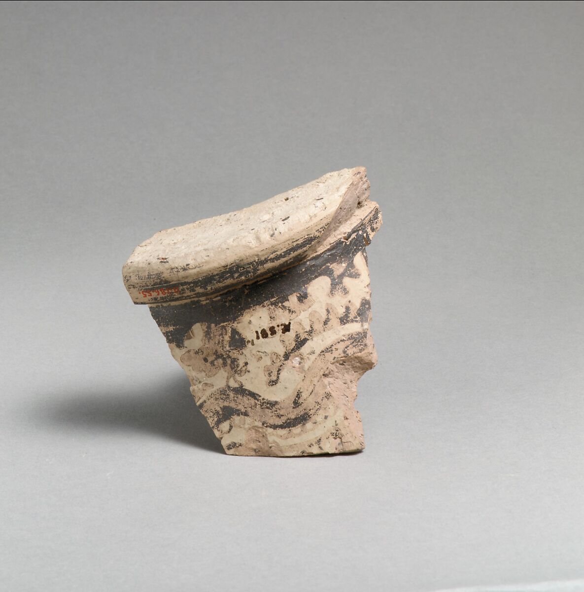 Terracotta base of cup with marine design, Terracotta, Minoan 