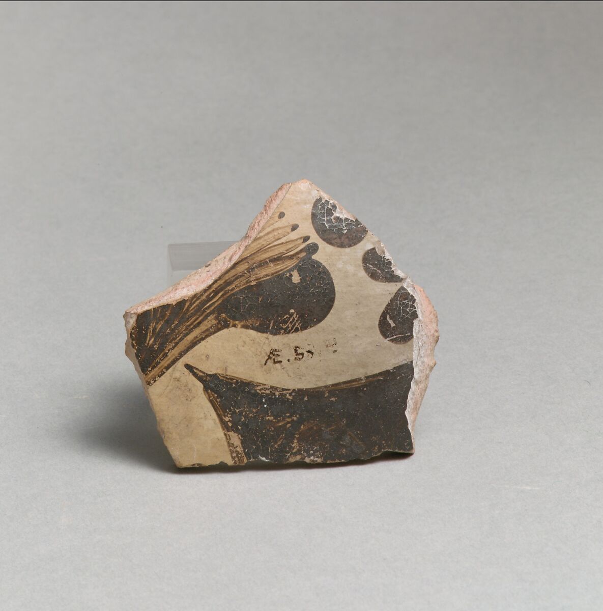 Terracotta vessel fragment with floral design, Terracotta, Minoan 