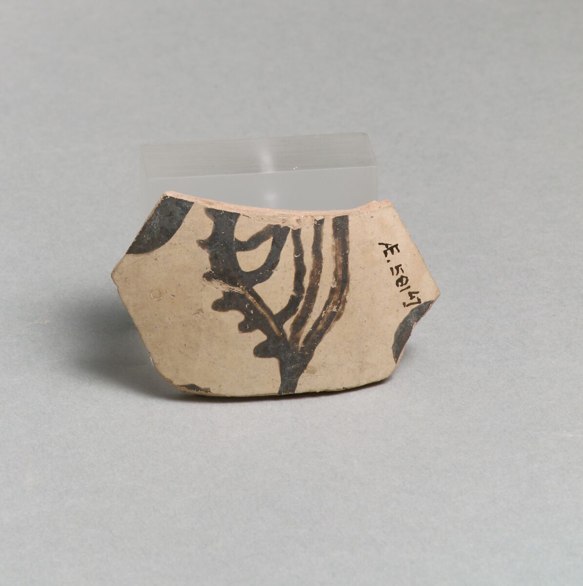 Terracotta vessel fragment with marine motif, Terracotta, Minoan 