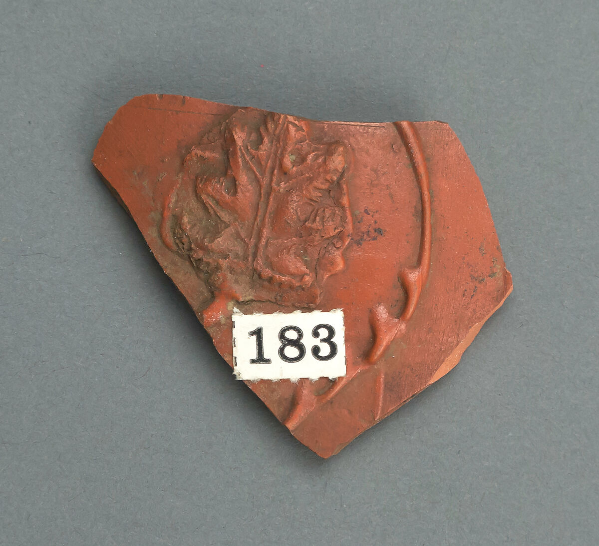 Vase fragment, Terracotta, Roman, Gaul 