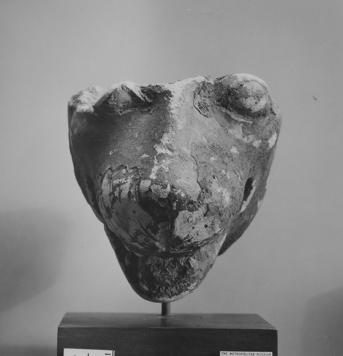 Head of a lion, Terracotta, Greek, South Italian/Sicilian 