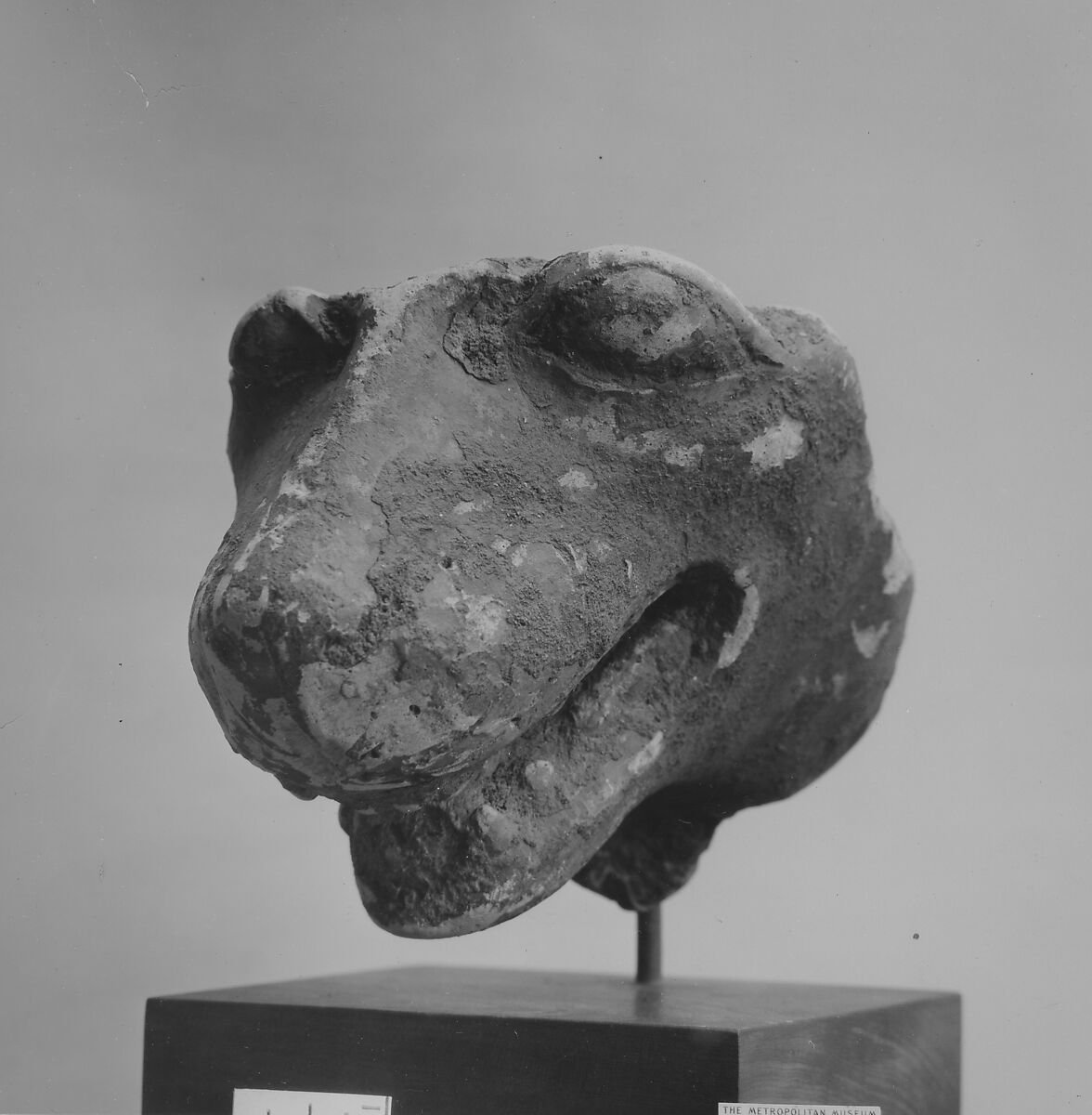 Head of a lion, Terracotta, Greek, South Italian/Sicilian