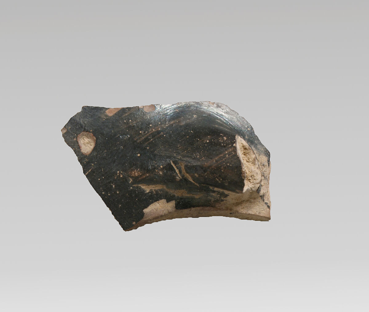 Vase fragment, Terracotta, Greek, Laconian 