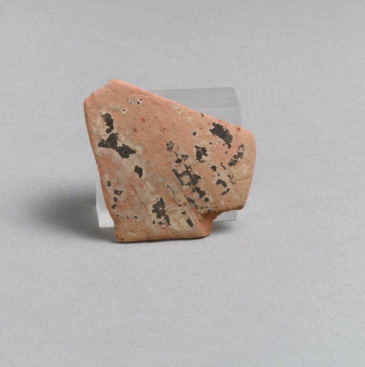 Vase fragment, Terracotta, Greek, Laconian 