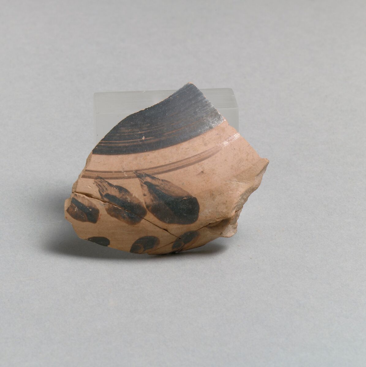 Vase fragment, Terracotta, Greek, Laconian 