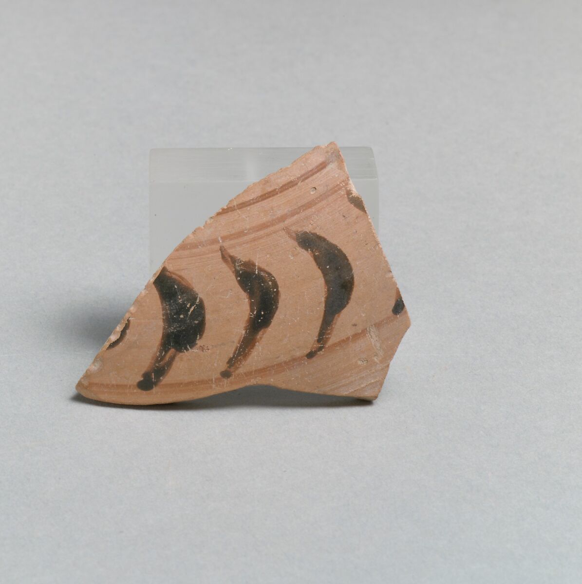 Vase fragment, Terracotta, Greek, Laconian 