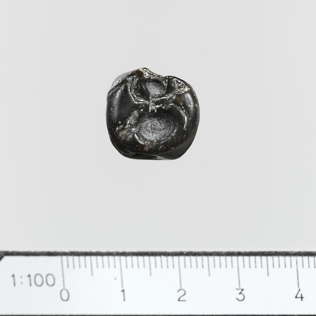 Seal, Steatite, Minoan