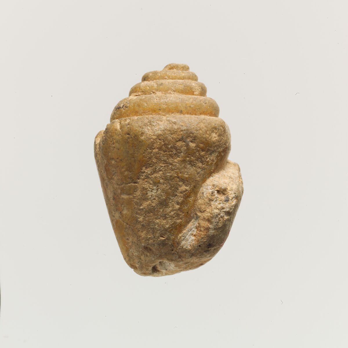 Terracotta shell, Clay, Minoan 