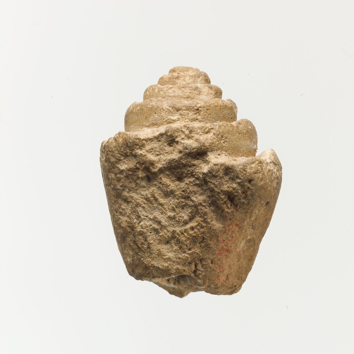 Terracotta shell, Clay, Minoan 