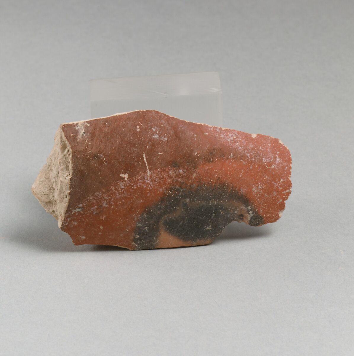 Vase fragment, Terracotta, Minoan 