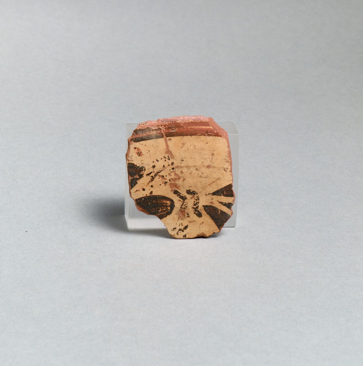 Lagynos fragment, Terracotta 