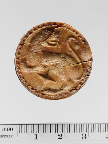 Ivory discoid seal