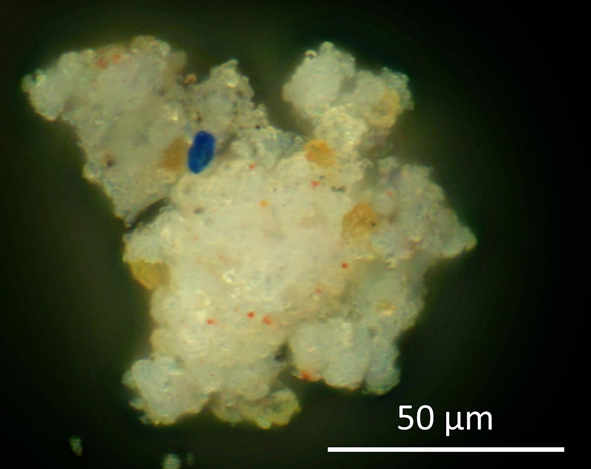 Marble head of a horse, Marble, Greek, Attic