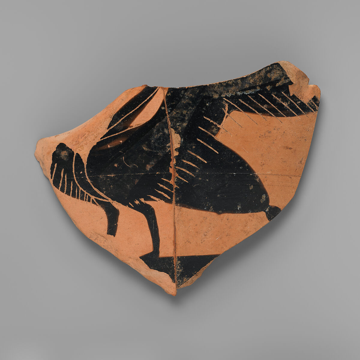 Terracotta fragmentary  neck-amphora, Signed by Nikosthenes as potter, Terracotta, Greek, Attic