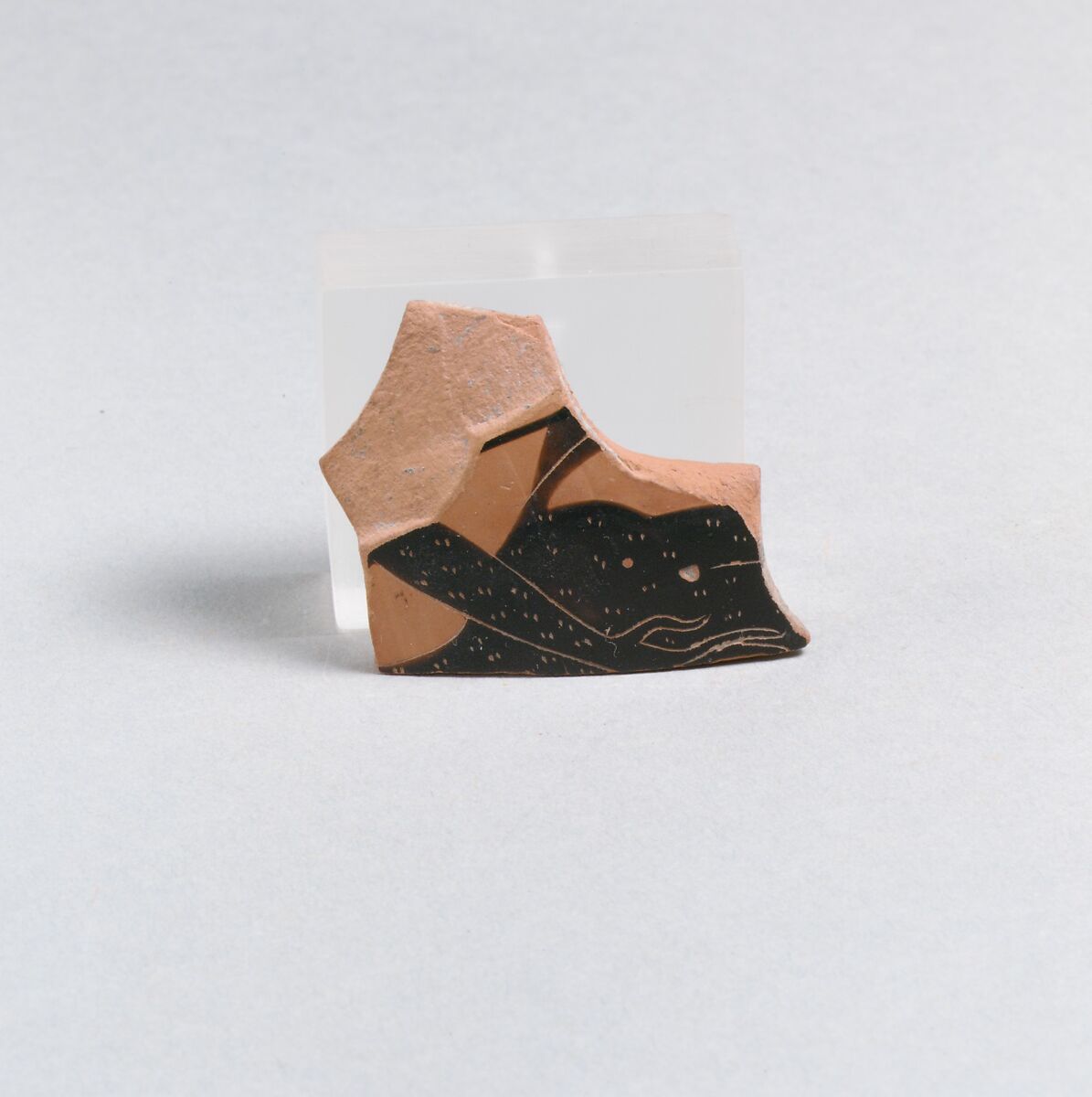 Fragments of a terracotta amphora (jar), Attributed to the Amasis Painter, Terracotta, Greek, Attic