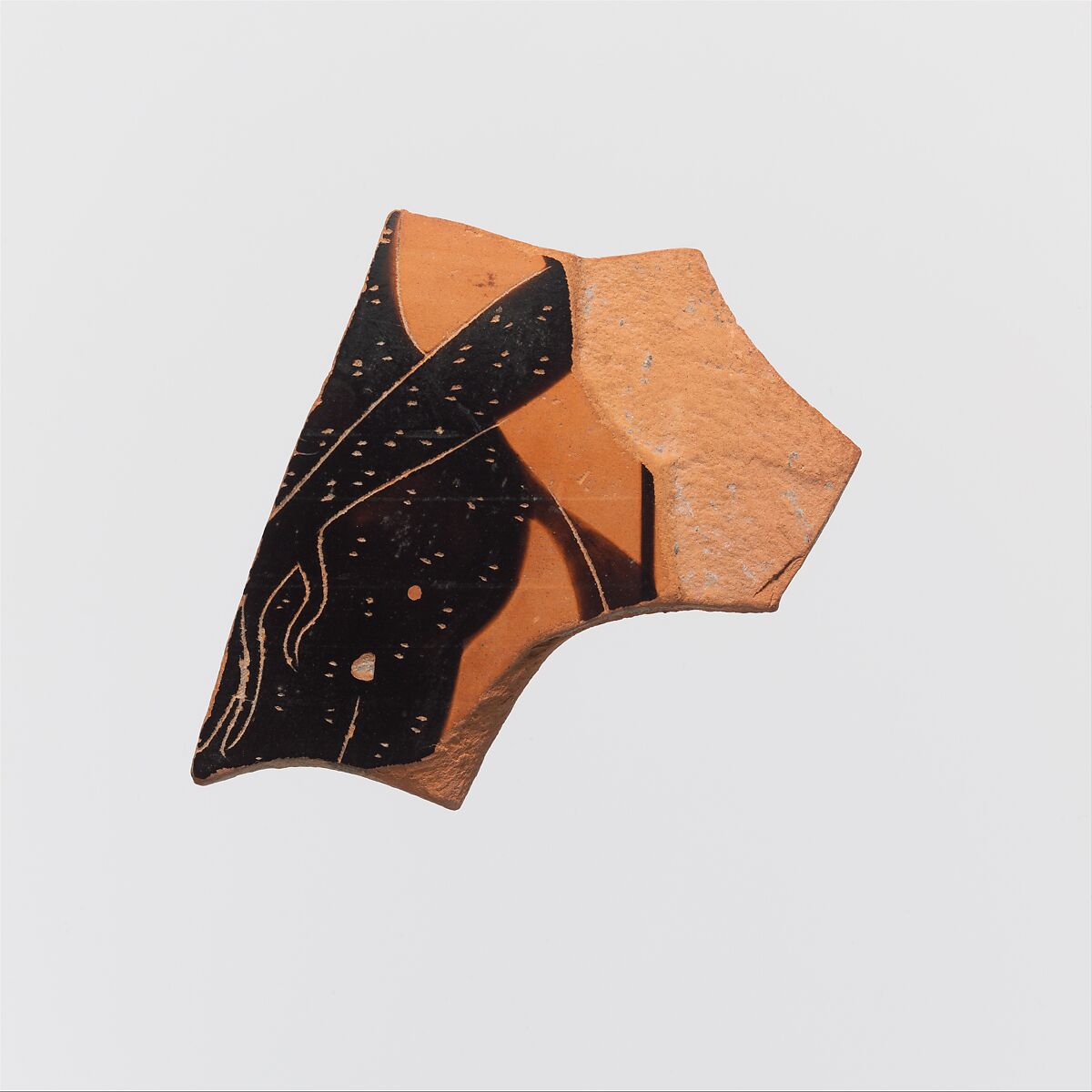 Fragments of a terracotta amphora (jar), Attributed to the Amasis Painter, Terracotta, Greek, Attic