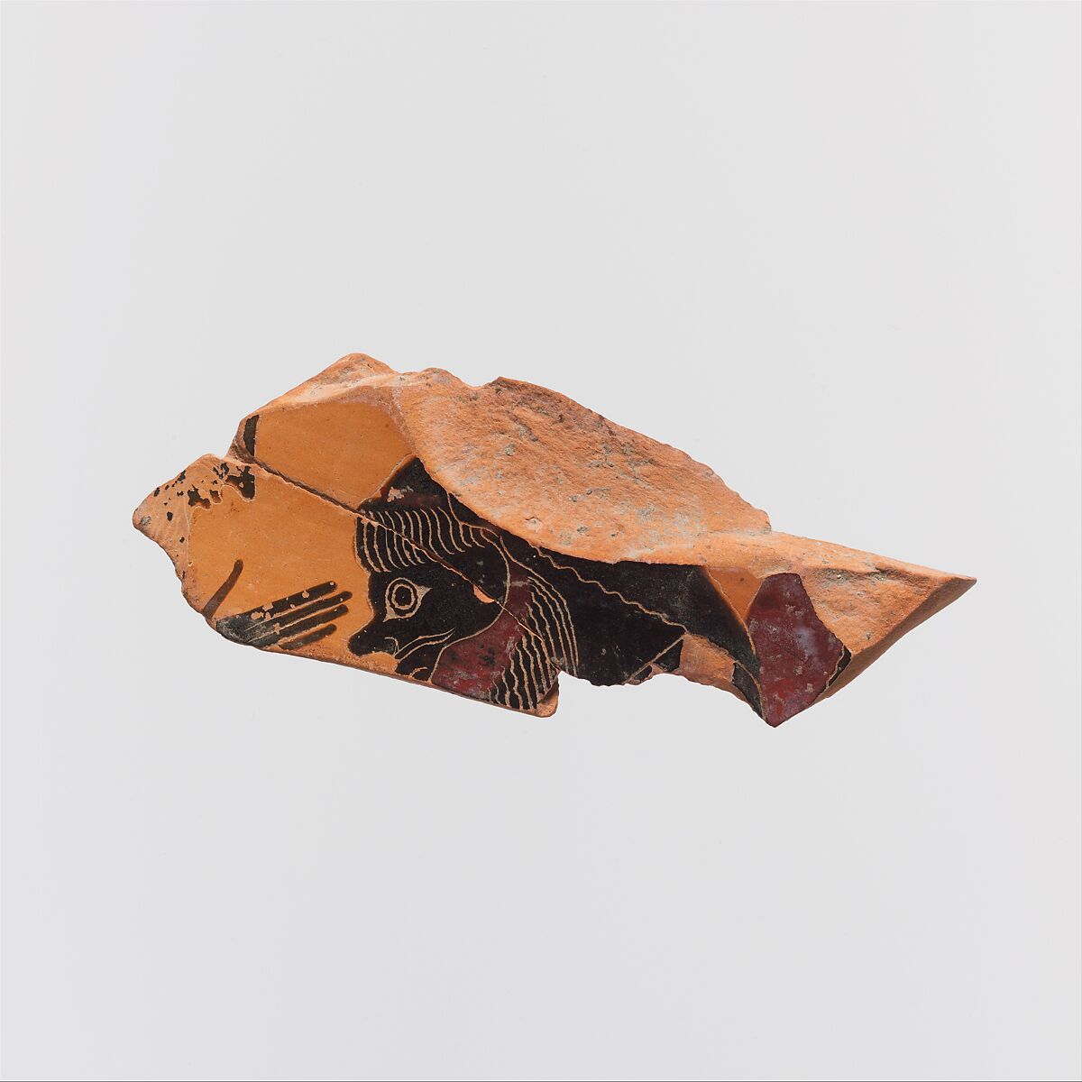 Fragments of a terracotta amphora (jar), Attributed to the Amasis Painter, Terracotta, Greek, Attic