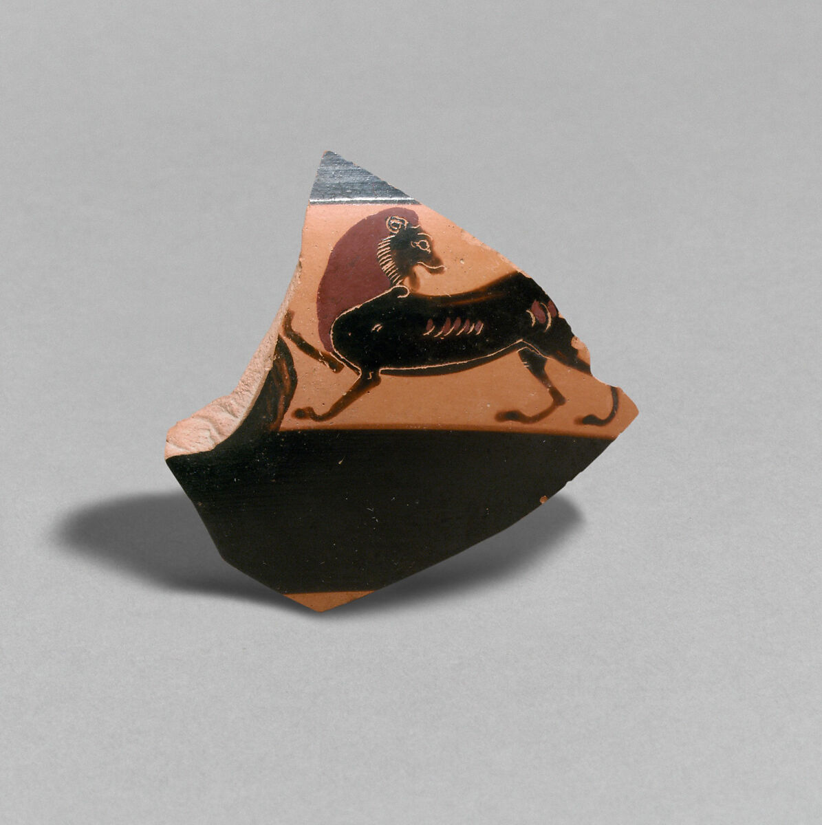 Fragment of a terracotta kylix: band-cup (drinking cup), Attributed to the Amasis Painter, Terracotta, Greek, Attic 