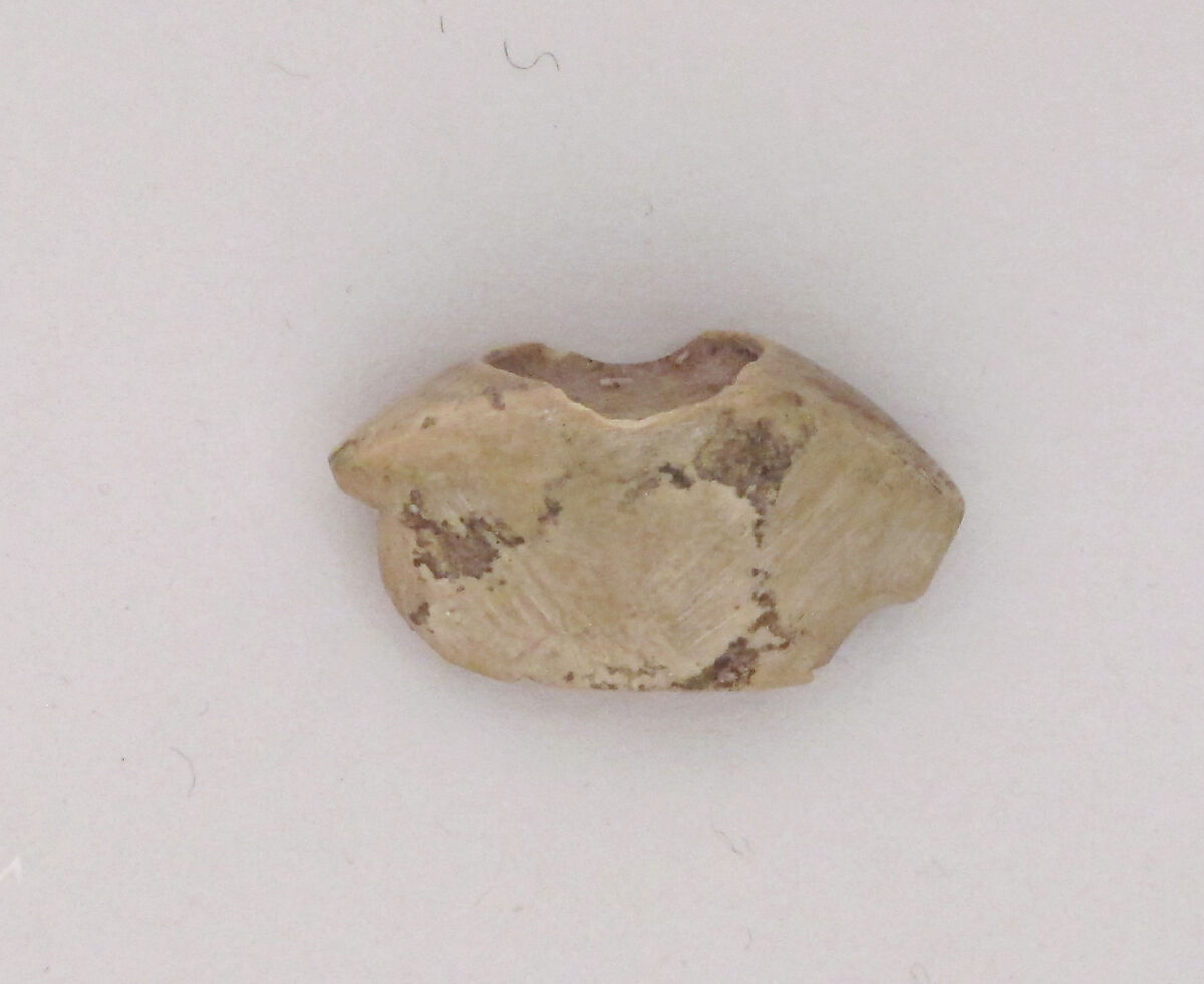 Eye inlays, Bone, ivory