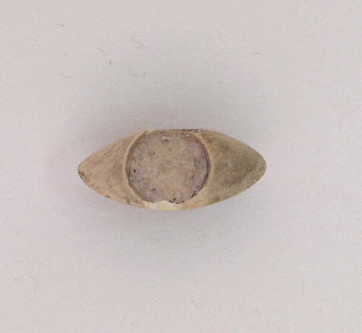 Eye inlays, Bone, ivory