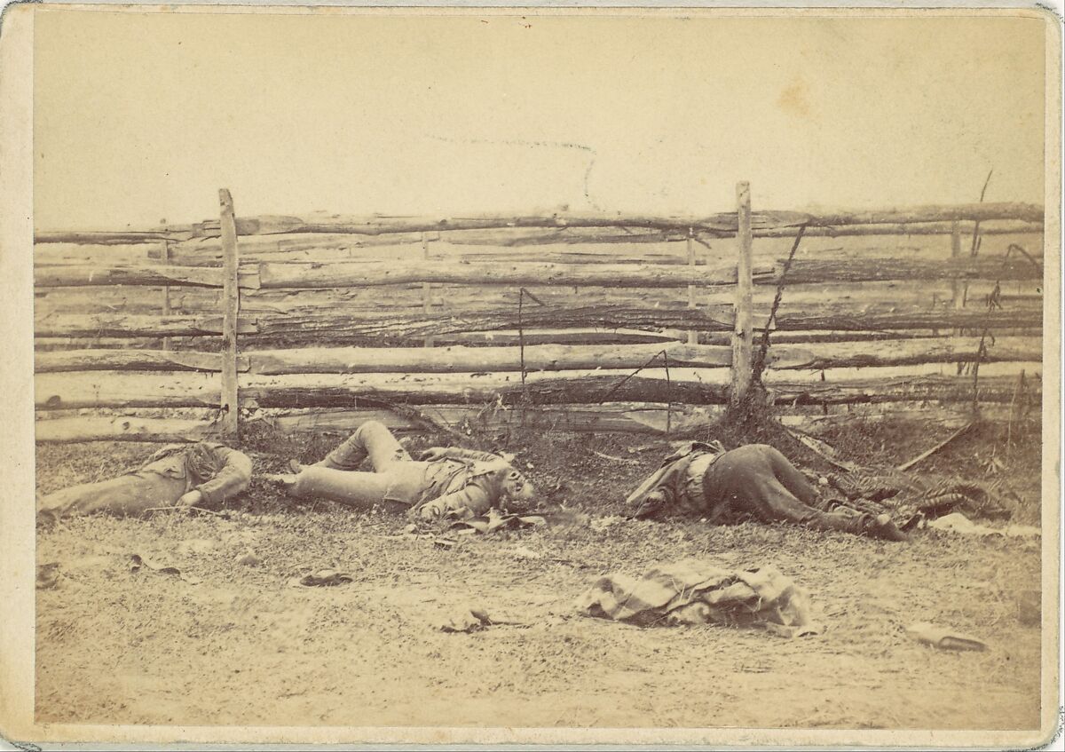 View in the Field, On the West Side of the Hagerstown Road, After the Battle of Antietam, Maryland, September 1862, Alexander Gardner (American, Glasgow, Scotland 1821–1882 Washington, D.C.), Albumen silver print from glass negative 