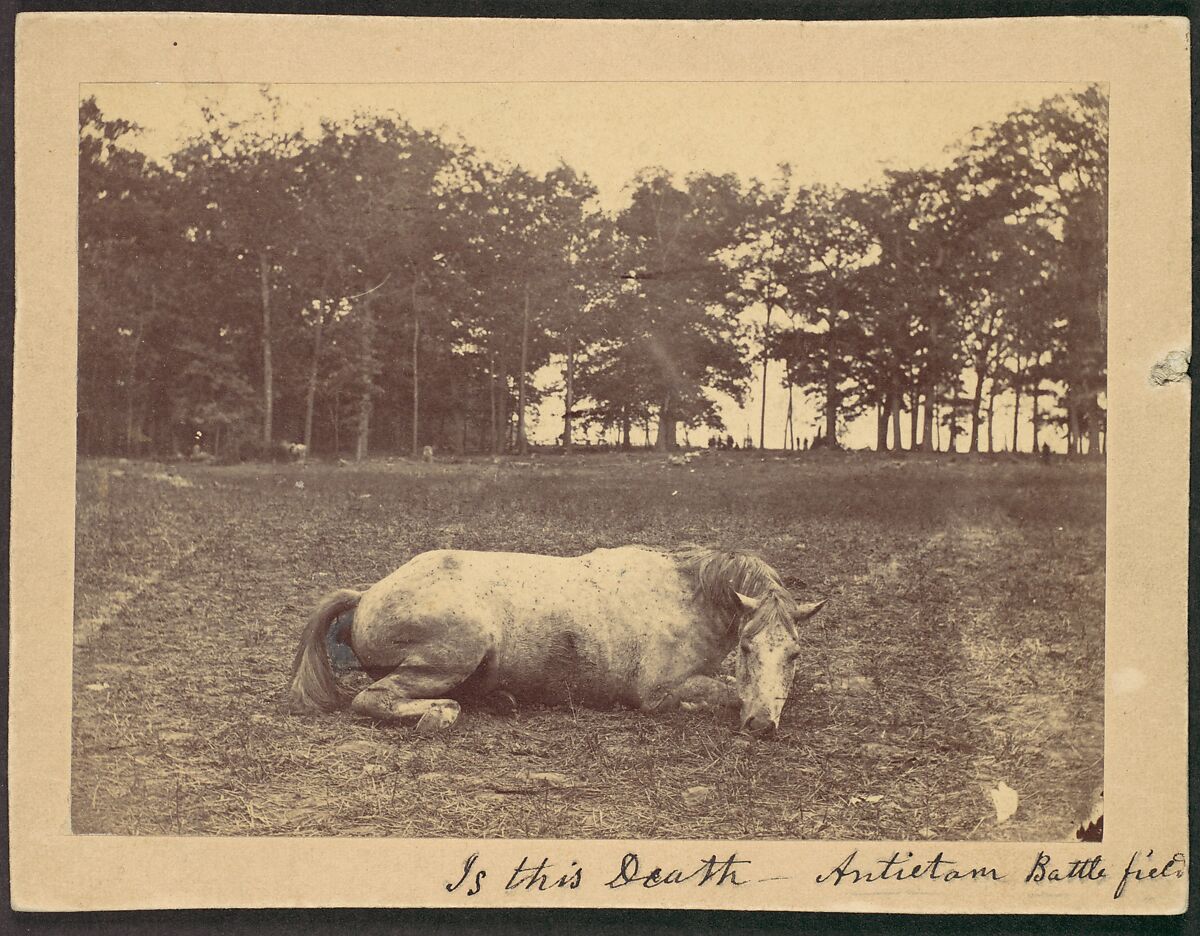 Is This Death - Antietam Battlefield, September 1862, Alexander Gardner (American, Glasgow, Scotland 1821–1882 Washington, D.C.), Albumen silver print from glass negative 