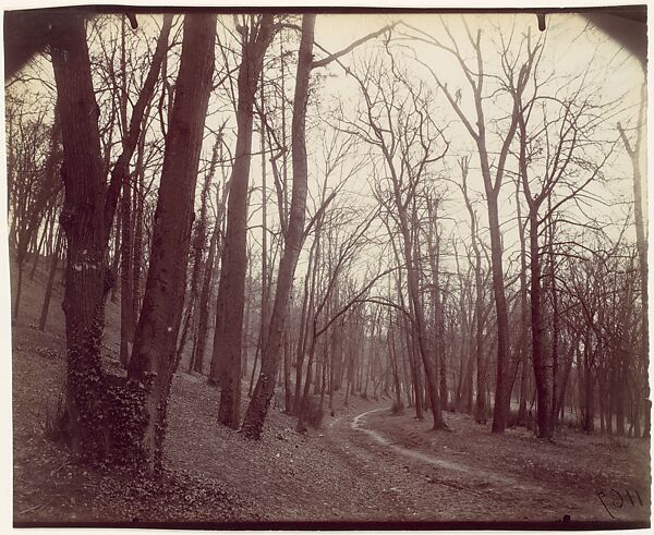 St. Cloud near Paris, Eugène Atget (French, Libourne 1857–1927 Paris), Albumen silver print from glass negative 