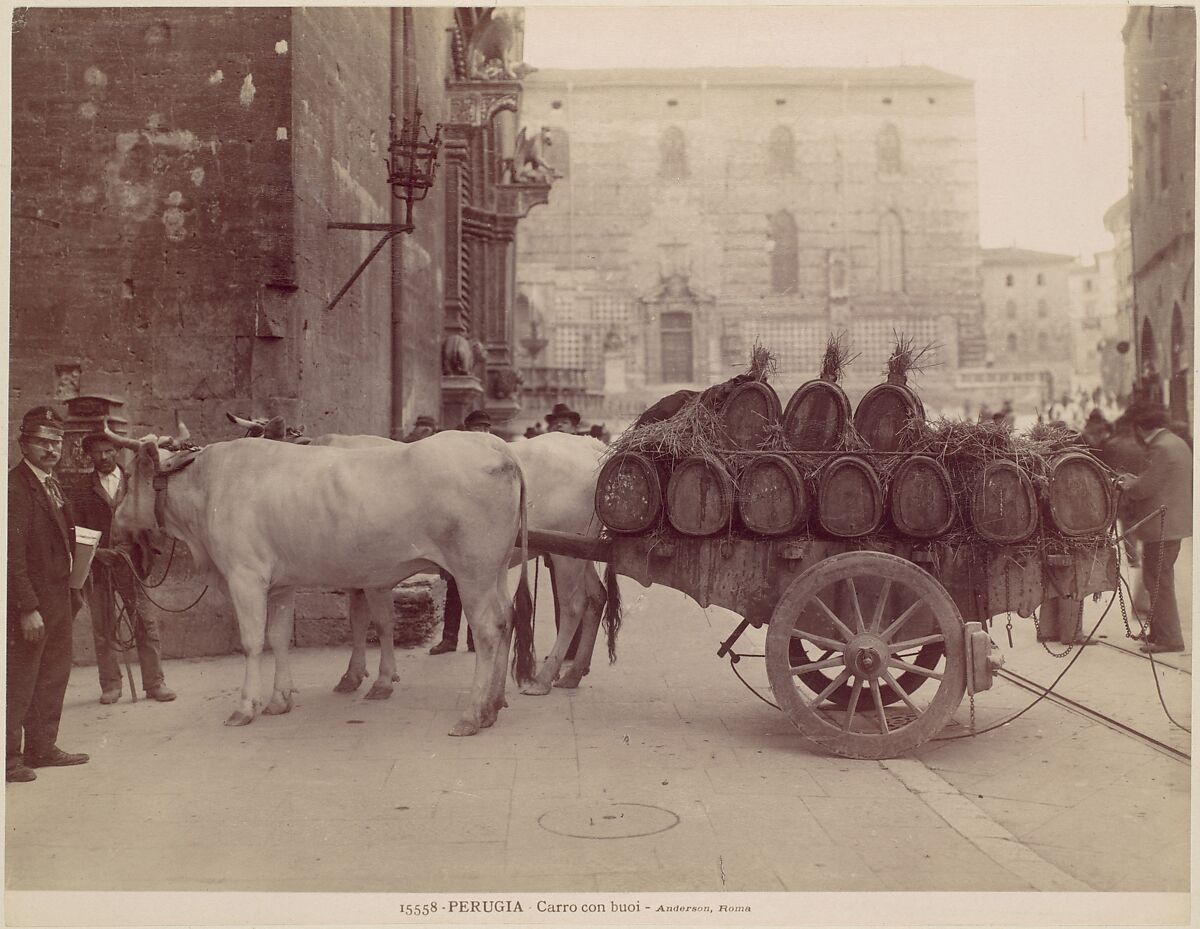 Carro con buoi, Perugia, James Anderson (British, 1813–1877), Albumen silver print 