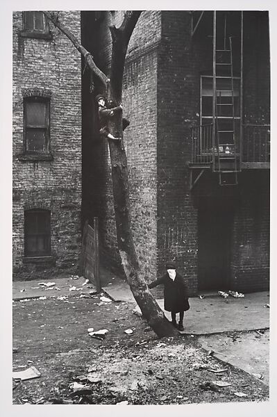 [Two Masked Boys Playing, One Climbing a Tree, New York City], Helen Levitt (American, 1913–2009), Gelatin silver print 