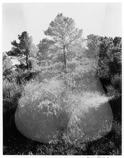 Eleanor, Aix-en-Provence, Harry Callahan (American, Detroit, Michigan 1912–1999 Atlanta, Georgia), Gelatin silver print 