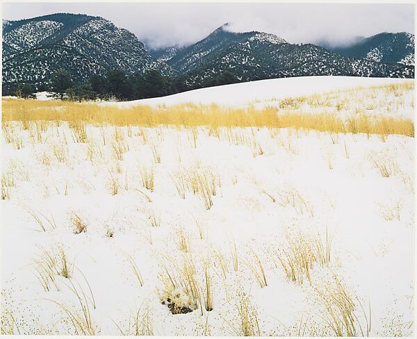 Snow and Grass, Colorado, Eliot Porter (American, 1901–1990), Dye transfer print 