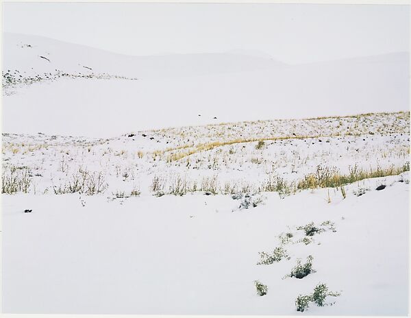 Snow on Sand Dunes, Colorado