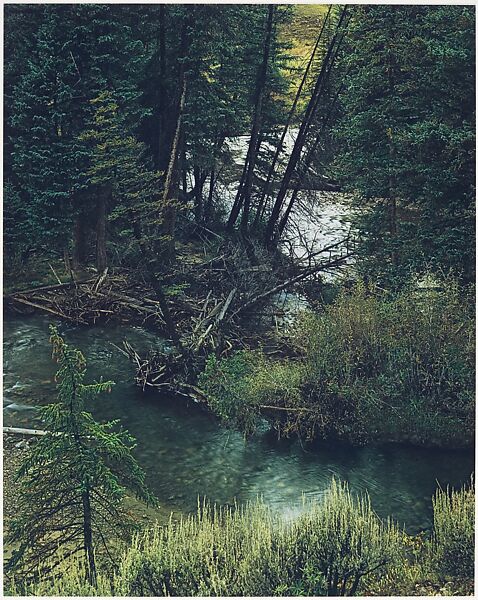 Spruce Trees and River, New Mexico, Eliot Porter (American, 1901–1990), Dye transfer print 