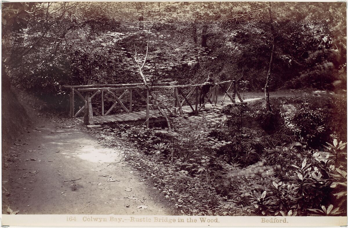 Colwyn Bay. Rustic Bridge in the Wood, Francis Bedford (British, London 1816–1894 London), Albumen silver print from glass negative 