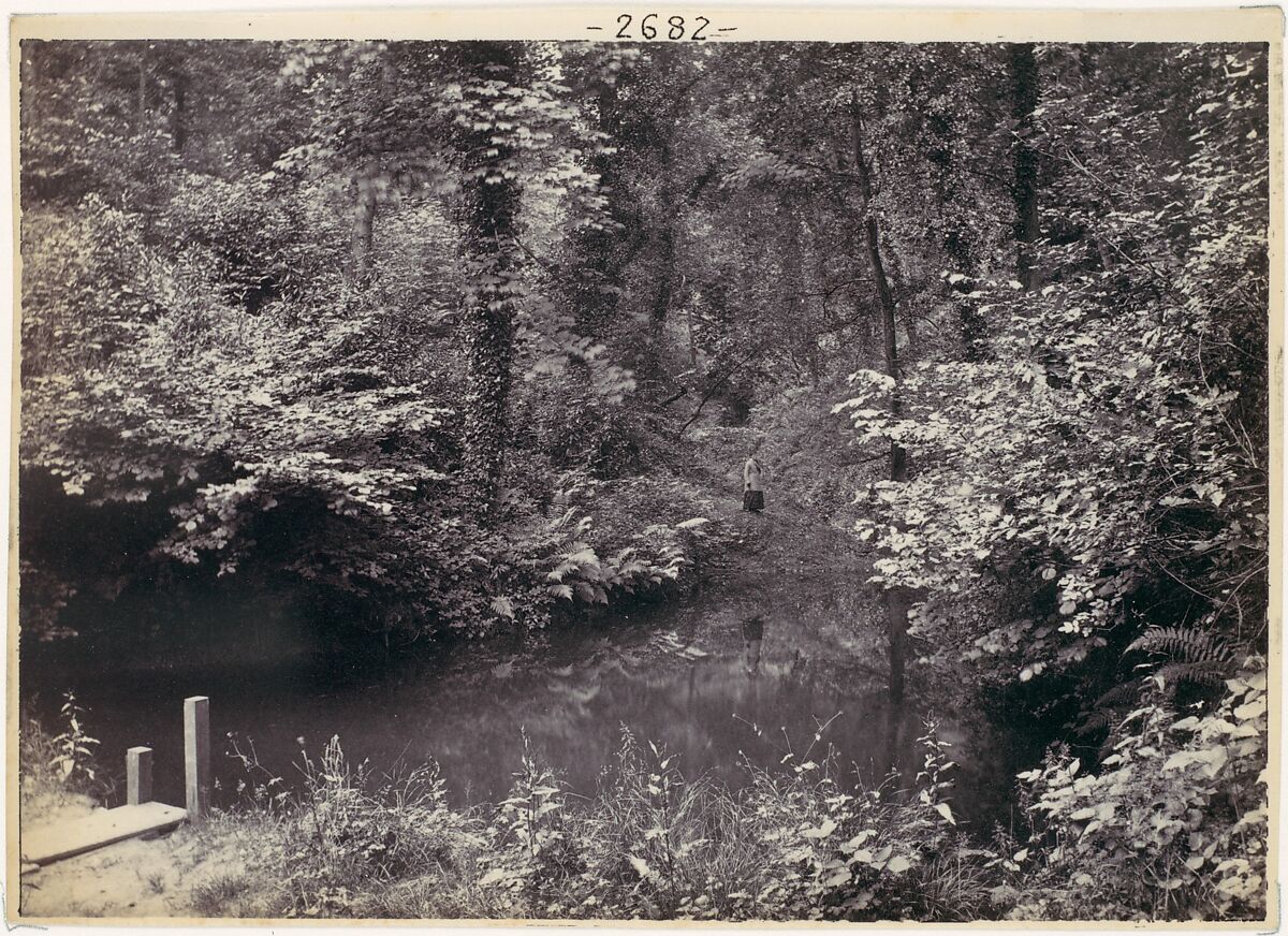 Colwyn Bay. The Pool in the Wood, Francis Bedford (British, London 1816–1894 London), Albumen silver print from glass negative 