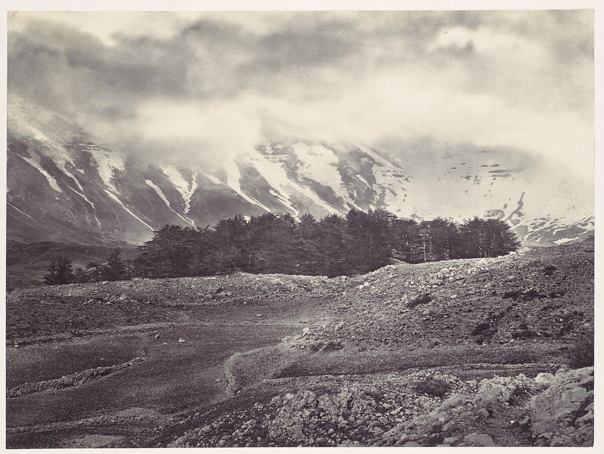 Distant View of the Cedars of Lebanon, Francis Frith (British, Chesterfield, Derbyshire 1822–1898 Cannes, France), Albumen silver print from glass negative 