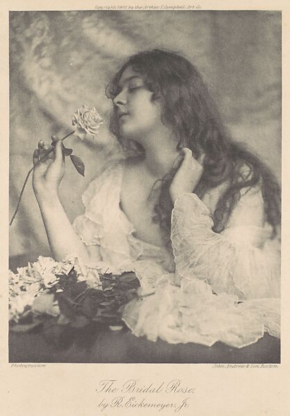 The Bridal Rose, Rudolph Eickemeyer, Jr. (American, 1862–1932), Photogravure 
