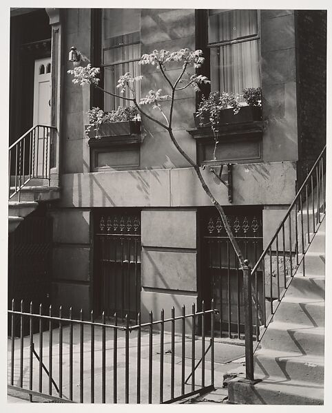 Brownstone in the Fifties, Brett Weston (American, Los Angeles, California 1911–1993 Kona, Hawaii), Gelatin silver print 