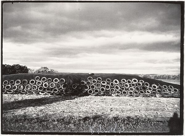 Heart's Brook Farm, Hadley, Massachusetts, Bill Arnold (American, born 1941), Microfilm reader/printer machine print 